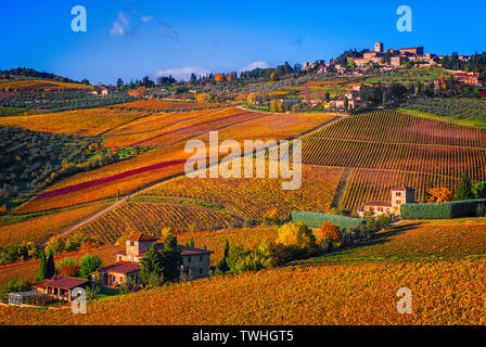 Chianti, Herbst Landschaft der Weinberge. Panzano Greve in Chianti (FI). Toskana, Italien. Stockfoto