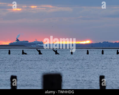 Sheerness, Kent, Großbritannien. Juni, 2019 20. UK Wetter: Kreuzfahrtschiff "Norwegian Pearl" die Sonne geht, wie es die Themse fährt wie von Sheerness in Kent gesehen. Credit: James Bell/Alamy leben Nachrichten Stockfoto