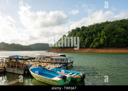 Ein Tag in Neyyar dam Stockfoto