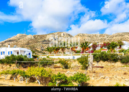 Palmen und weißen typisch griechischen Häuser in Ammopi Dorf auf der Insel Karpathos, Griechenland Stockfoto