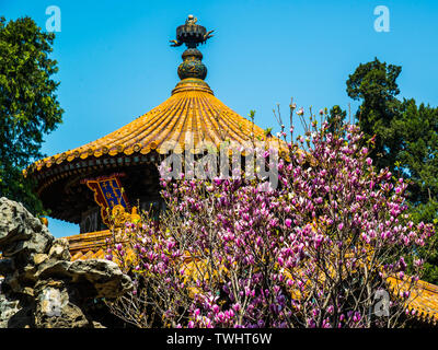 Der königliche Palast Pavillon im königlichen Garten von Verboten Stadt in Peking Stockfoto