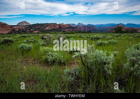 Einen malerischen Blick auf Zions Nationalpark von kolob Terrace Road, einem weniger bekannten Bereich des Parks gesehen. Stockfoto