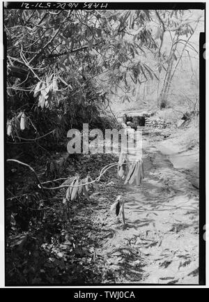 Website von STREAM ARBOR, nach Nordwesten zu ARBOR FÄLLT 1988 - Dumbarton Oaks Park, Dreißig-Sekunden- und R Straßen Northwest, Washington, District of Columbia, DC Stockfoto