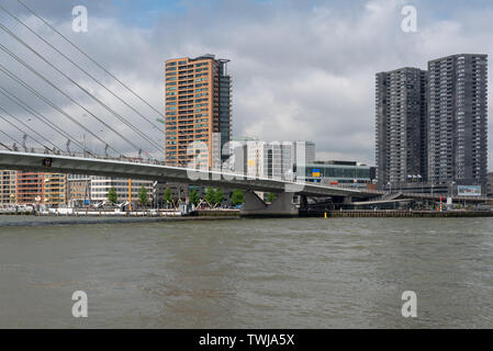 Rotterdam, Niederlande - 9. Mai 2019: Erasmus Brücke und die Neue Maas mit Hochhaus im Hintergrund Stockfoto