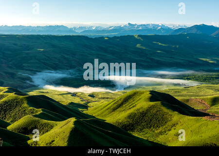 Juni Tag in Yili, Xinjiang Stockfoto