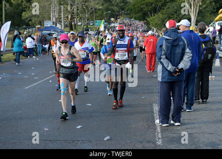 Durban, Südafrika, erwachsenen Mann Gespräch am Handy während konkurrierende 2019 Comrades Marathon, Menschen, Menschenmenge, Sport, Teilnahme Stockfoto