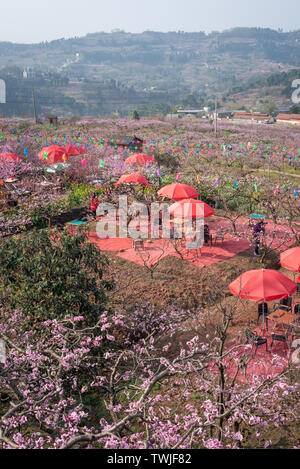 Bauernhaus Musik in der Heimatstadt von Longquanyi Peach Blossom in Chengdu Stockfoto