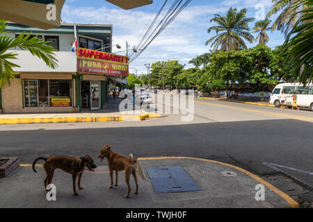 Quepos ist ein kleines boomenden Hafenstadt in Costa Rica berühmt als einer der besten Orte der Welt für das Big Game Fischen. Stockfoto