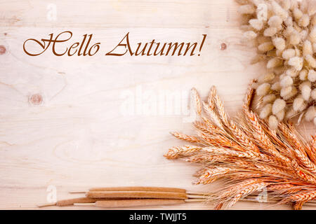 Getrocknete Getreide Ohren und Ruten auf hölzernen Tisch. Herbst Ernte von Brot. Schriftzug Hallo Herbst Stockfoto