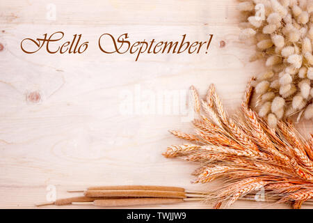 Getrocknete Getreide Ohren und Ruten auf hölzernen Tisch. Herbst Ernte von Brot. Schriftzug Hallo September Stockfoto