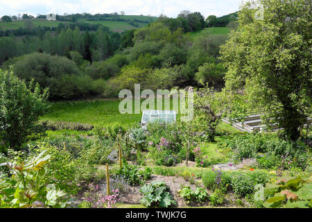 Blick über Bio Gemüse und Blumen wachsen im Garten und Gewächshaus in Carmarthenshire Landschaft Landschaft im Mai 2019 Wales UK KATHY DEWITT Stockfoto