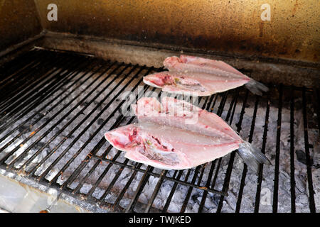 Frische Fische auf dem heißen Grill kochen über Holzkohle Feuer außerhalb O Robalo portugiesisches Restaurant in Matosinhos Stadt Porto Portugal Europa EU-KATHY DEWITT Stockfoto