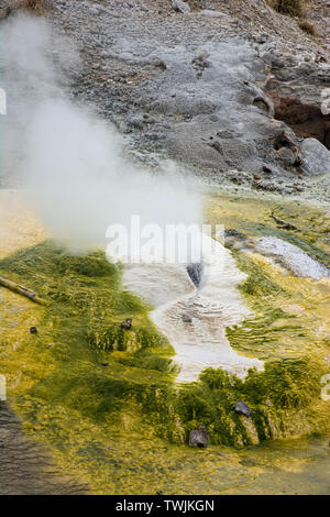 Norris Geyser Basin Stockfoto