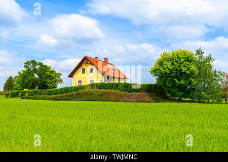 Gelb traditionelles Haus mit rotem Ziegeldach auf der grünen Wiese im Frühling Landschaft von burgerland in Strem Dorf, Österreich Stockfoto