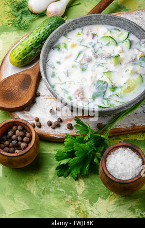 Sommer kalte Suppe. Okroshka. Gemüse kalte Suppe. russische Speisen. traditionellen Russischen Sommer kalte Suppe Stockfoto