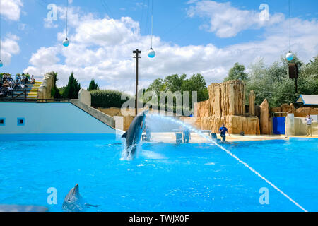 Parc Astérix Delphin Show in Paris Stockfoto