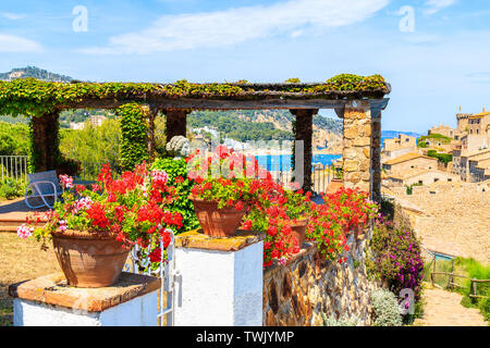 Blumen auf Küstenweg in Tossa de Mar und Blick auf Schloss und Altstadt, Costa Brava, Spanien Stockfoto