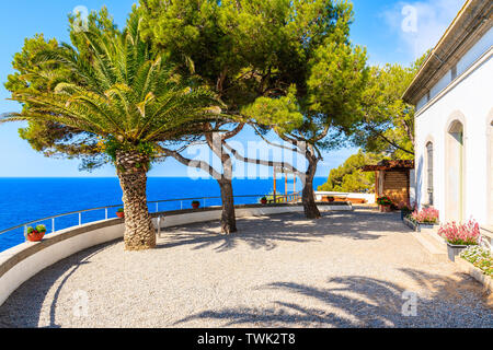 Palmen am Lighthouse Terrasse und Meerblick in Tossa de Mar, Costa Brava, Spanien Stockfoto