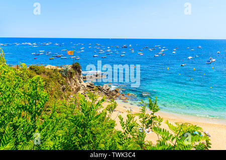 Super Strand von Calella de Palafrugell, malerischen Fischerdorf mit weißen Häusern und Sandstrand mit klarem, blauem Wasser, Costa Brava, Katalonien, Spanien Stockfoto