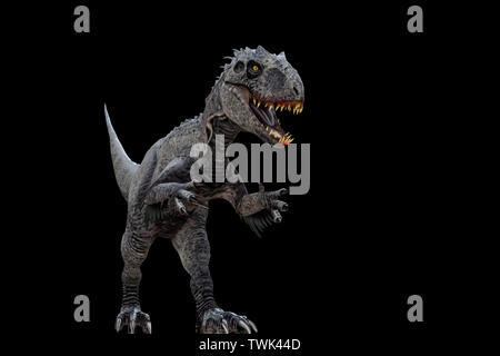 Indominus Rex auf schwarzem Hintergrund 3 isolierte d Abbildung Stockfoto