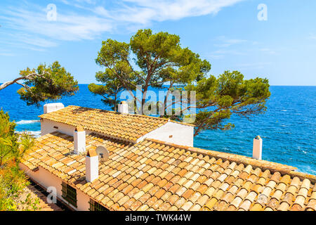 Orange kacheln Dächer der typische Häuser am Küstenweg in der Nähe von Llafranc Dorf, Costa Brava, Spanien Stockfoto
