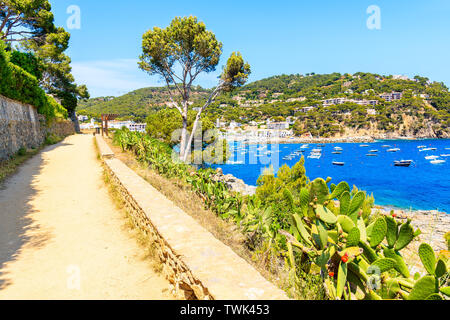 Küstenweg von Calella, Llafranc auf schönen Sommertag, Costa Brava, Spanien Stockfoto