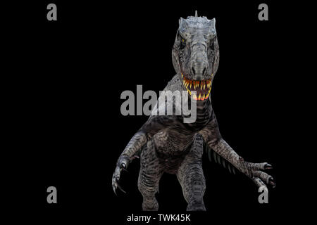 Indominus Rex auf schwarzem Hintergrund 3 isolierte d Abbildung Stockfoto