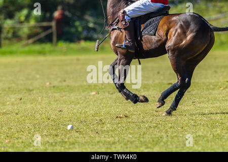 Polo Aktion closeup Reiter player Pferd unbekannte Hälfte Körper abstrakten spielen eine lokale Spiel. Stockfoto