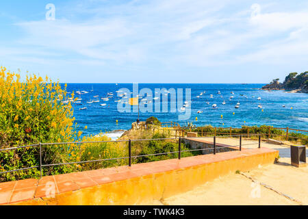 Küstenpromenade in Calella de Palafrugell, malerischen Fischerdorf mit weißen Häusern und Sandstrand mit klarem, blauem Wasser, Costa Brava, Katalonien, S Stockfoto