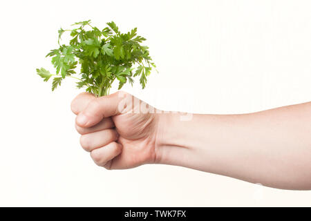 Die Hand eines Mannes hält ein Bündel frischer Petersilie auf weißem Hintergrund Stockfoto