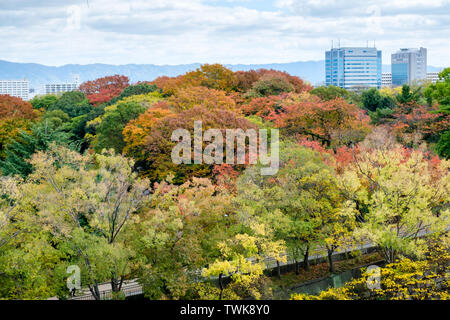 Luftaufnahme von Multi Color Bäume im Herbst Park an der Osaka City Stockfoto