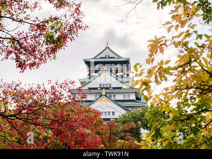 Burg von Osaka im Herbst Blätter Garten in Osaka, Japan Stockfoto