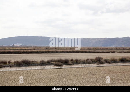 Ein Blick auf die Salinen von Sečovlje Salina Natur Park Stockfoto