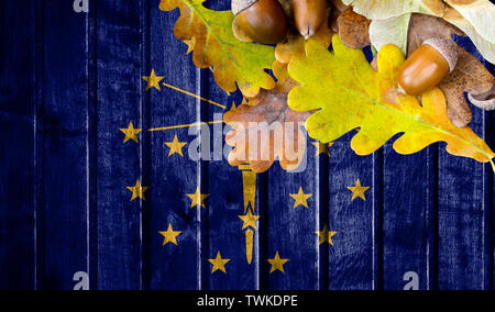 Staat Indiana Flagge auf Herbst Holz- Hintergrund mit Blättern und guter Platz für Ihren Text. Stockfoto