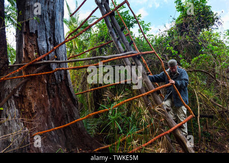 Aussichtsturm, Kasanka Bat Migration, Kasanka Nationalpark, Serenje, Sambia, Afrika Stockfoto