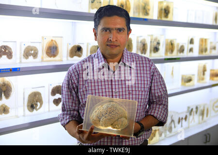 Bangalore, Karnataka, Indien. 13 Dez, 2018. 13 Dez 2018 - Bangalore, Indien. Portrait von Dr. Shivarama Varambally, Professor der Psychiatrie an nimhans am Gehirn Museum im nimhans Campus. Die wissenschaftlichen Untersuchungen an der NIMHANS (Nationales Institut für seelische Gesundheit und Neuro Wissenschaften, Bengaluru) kommen zu dem Schluss, dass aufgrund der Schwingungen während der 'AUM singen 'Phase erstellt der Verstand erreicht einen tiefen Zustand der Entspannung. Credit: Subhash Sharma/ZUMA Draht/Alamy leben Nachrichten Stockfoto