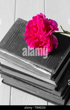 Rose Blume auf einem Haufen von alten, antiken Bücher. Auf einem weißen Holz Oberfläche. Durch selektive Farbkorrektur Stockfoto