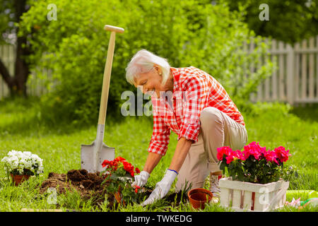 Lächelnd nach dem Einpflanzen. Grau gealtert - behaarte Frau tragen squared Shirt lächelnd nach dem Pflanzen schöne rote Blumen Stockfoto