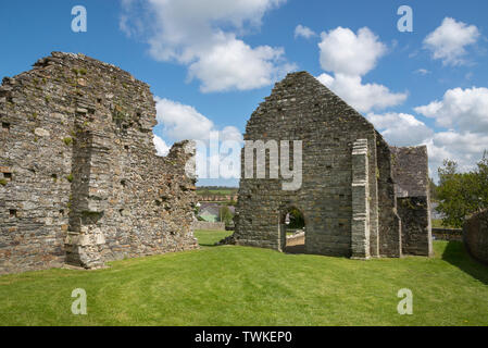 Die Ruinen der St. Dogmaels Abtei in der Nähe von Cardigan in West Wales. Stockfoto