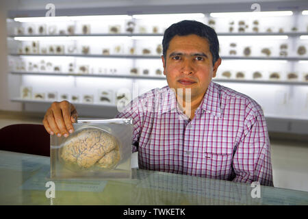 Bangalore, Karnataka, Indien. 13 Dez, 2018. 13 Dez 2018 - Bangalore, Indien. Portrait von Dr. Shivarama Varambally, Professor der Psychiatrie an nimhans am Gehirn Museum im nimhans Campus. Die wissenschaftlichen Untersuchungen an der NIMHANS (Nationales Institut für seelische Gesundheit und Neuro Wissenschaften, Bengaluru) kommen zu dem Schluss, dass aufgrund der Schwingungen während der 'AUM singen 'Phase erstellt der Verstand erreicht einen tiefen Zustand der Entspannung. Credit: Subhash Sharma/ZUMA Draht/Alamy leben Nachrichten Stockfoto