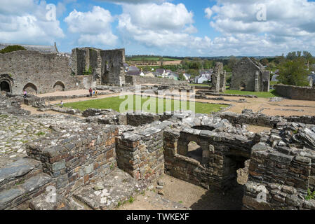 Die Ruinen der St. Dogmaels Abtei in der Nähe von Cardigan in West Wales. Stockfoto