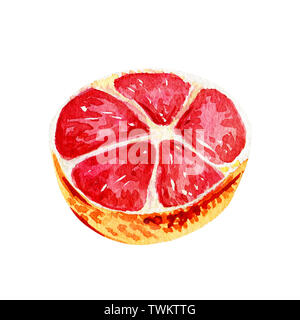 Aquarell Grapefruit isoliert die Hälfte. Tropische erfrischende Exotische Früchte auf einem weißen Hintergrund. Sommer Konzept. Stockfoto