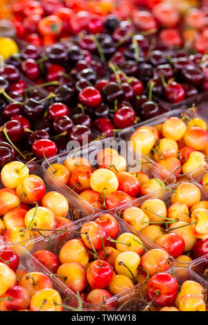 Zwei Sorten von frischen Kirschen zum Verkauf an einer lokalen Bauernmarkt Stockfoto