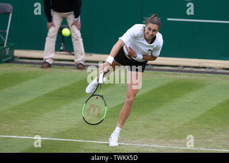 Birmingham, Großbritannien. Juni, 2019 21. Petra Martic von Kroatien während ihr Viertelfinale gegen Jelena Ostapenko Lettlands. Natur Tal Classic 2019, Tennis der Internationale Frauentag, Tag 5 an der Edgbaston Priorat Club in Birmingham, England am Freitag, den 21. Juni 2019. Redaktionelle Verwendung nur. pic von Andrew Obstgarten, Credit: Andrew Orchard sport Fotografie/Alamy leben Nachrichten Stockfoto