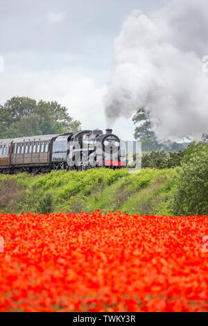 Vintage UK Dampfzug Vorderansicht durch schönen Englischen Sommer Landschaft. Britische Landschaft Szene mit Bahn & Bereich der wilden roten Mohn. Stockfoto