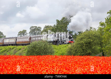 Vintage UK Dampfzug, front, vorbei an wunderschönen englischen Sommer Landschaft. Britische Landschaft Szene mit Bahn & Feld von Wild, roter Mohn. Stockfoto