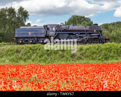 Vintage UK Dampflok, vorbei an wunderschönen englischen Sommer Landschaft. Britische Landschaft Szene mit dem Zug und der wilden, roter Mohn. Stockfoto