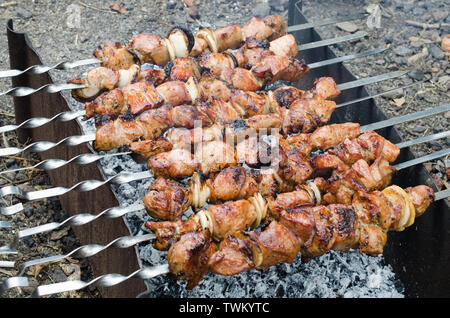 Marinierte schaschlik Vorbereitung auf einem Grill über Kohle. Saftig lecker gebratenes Schweinefleisch Grillen auf dem Grill. Shashlyk, aufgespießt Fleisch war Beschäftigungsprojekt Stockfoto