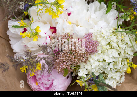 Bündel multocolored Sommer Blumen closeup Stockfoto