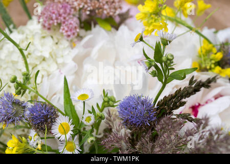 Bündel von bunten Sommerblumen closeup Stockfoto